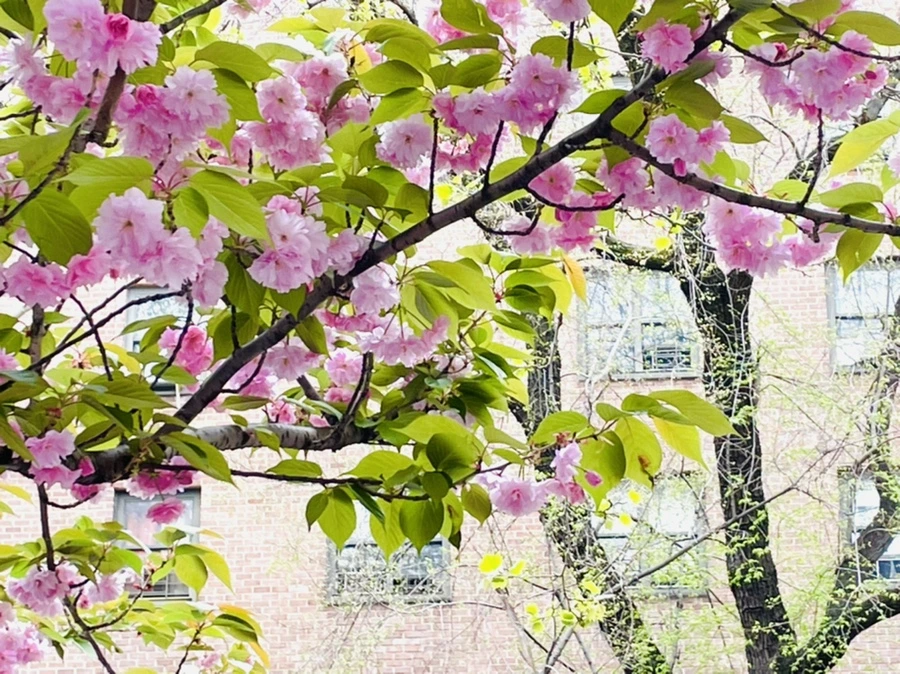 IMG_2530.jpg?type=w966