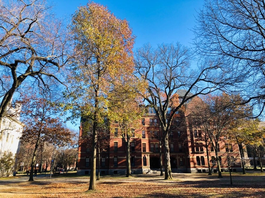 IMG_7970.jpg?type=w966