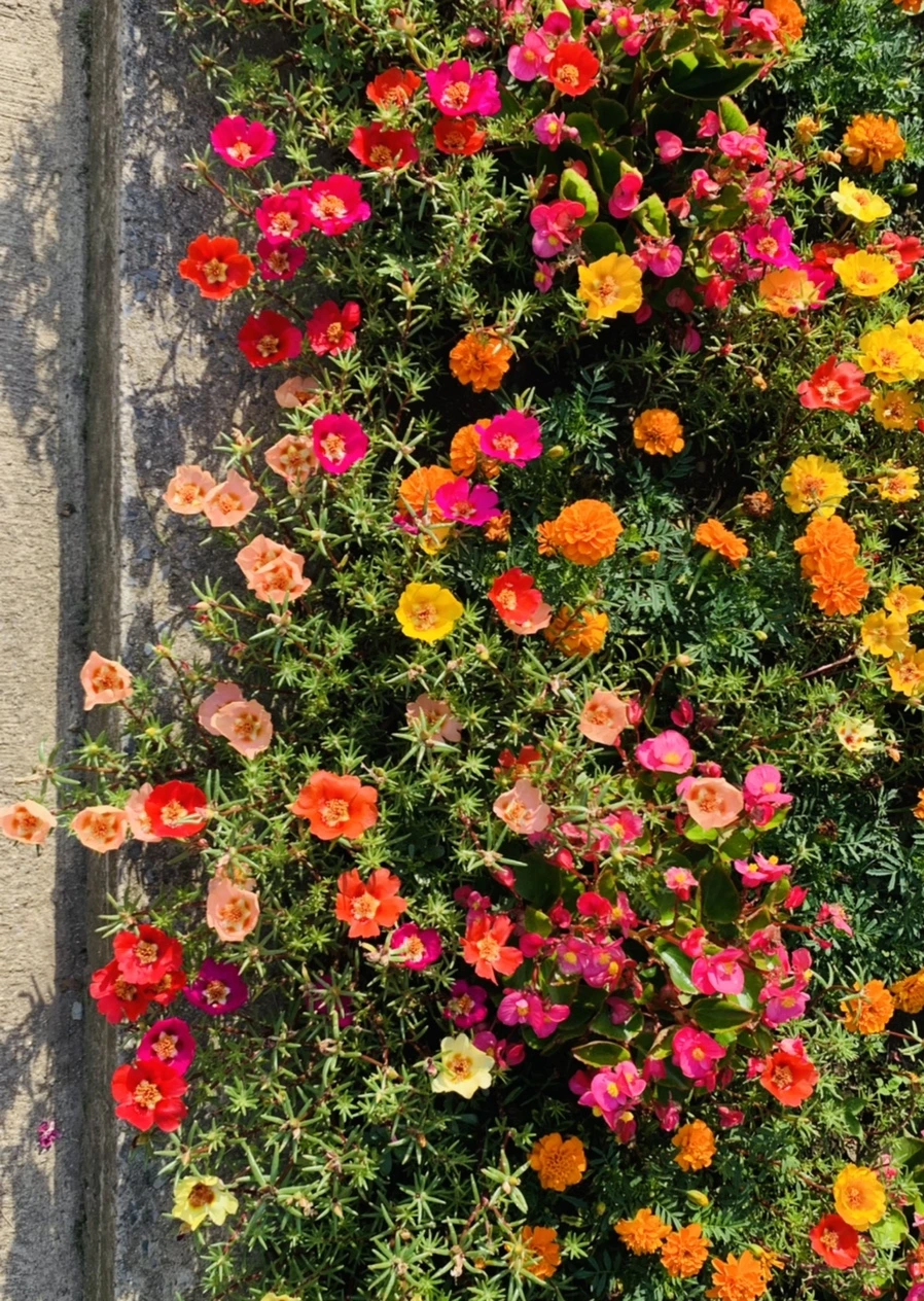 IMG_6641.jpg?type=w966