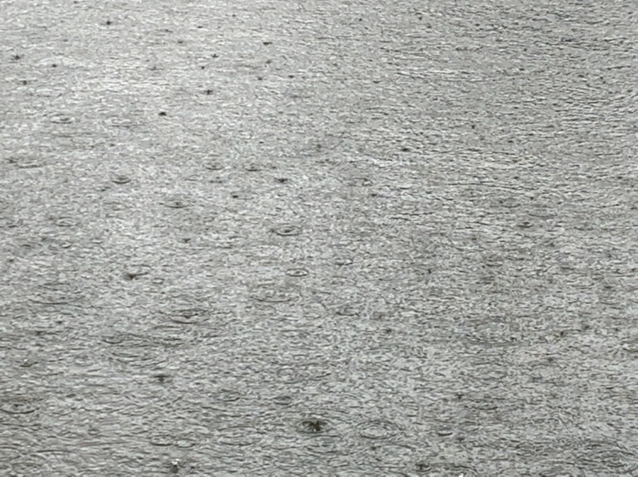 IMG_2058.jpg?type=w966