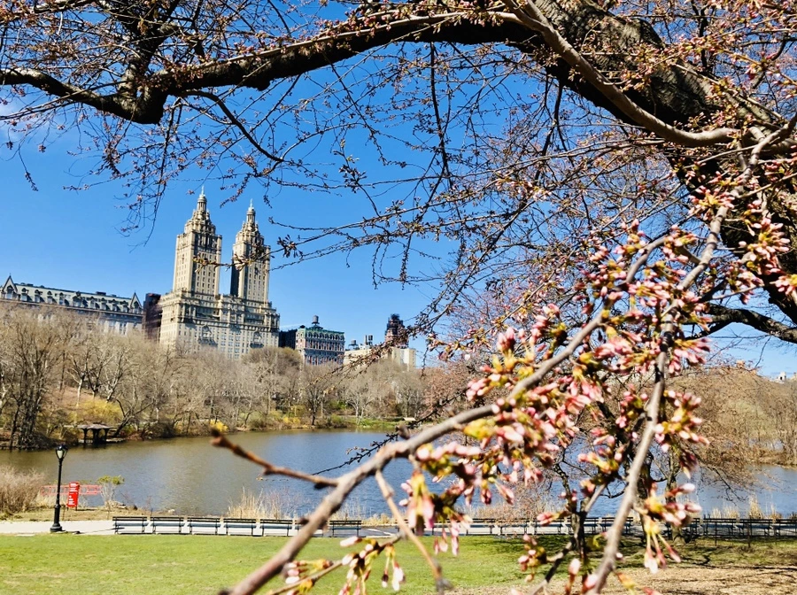 IMG_6635.jpg?type=w966