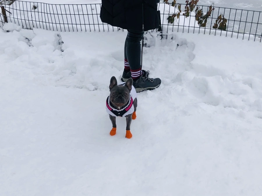 IMG_9591.jpg?type=w966