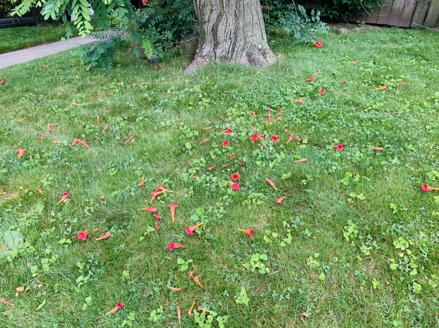 IMG_7124.jpg?type=w966