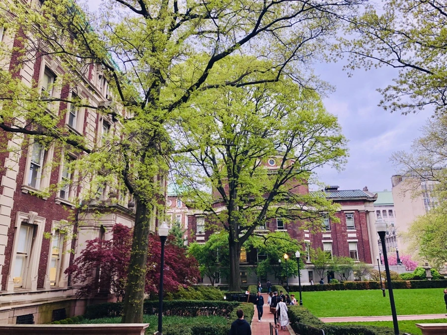 IMG_3591.jpg?type=w966