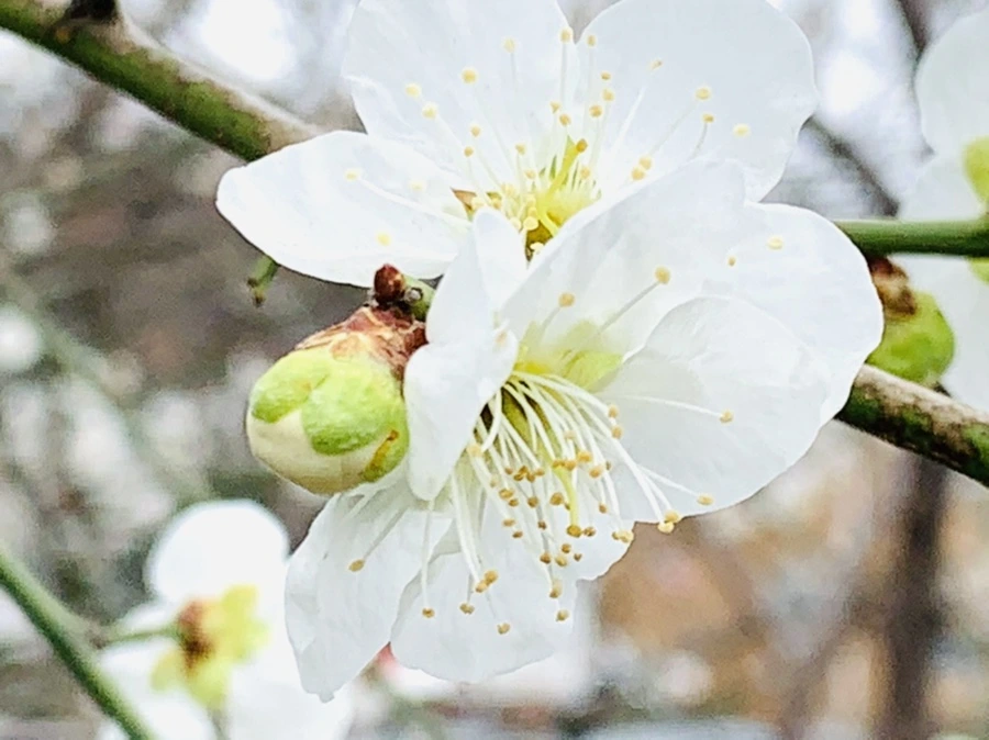 IMG_3670.jpg?type=w966