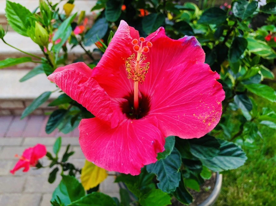 IMG_3444.jpg?type=w966