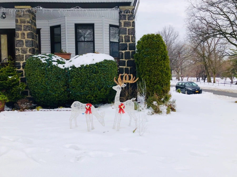 IMG_7576.jpg?type=w966