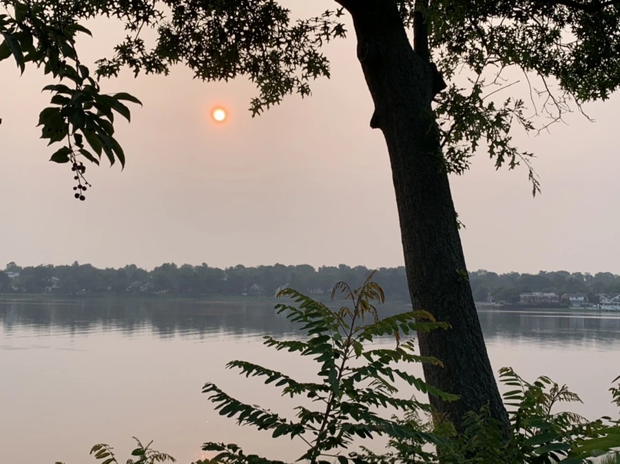 IMG_8191.jpg?type=w966