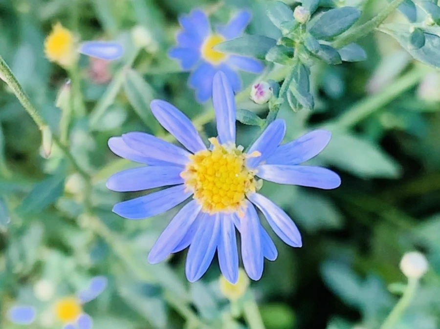 qwDOpjRRFwfdNTp9C-SqhMLCAtE