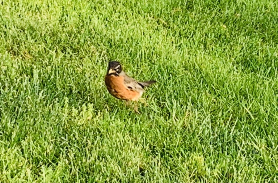 IMG_4569.jpg?type=w966