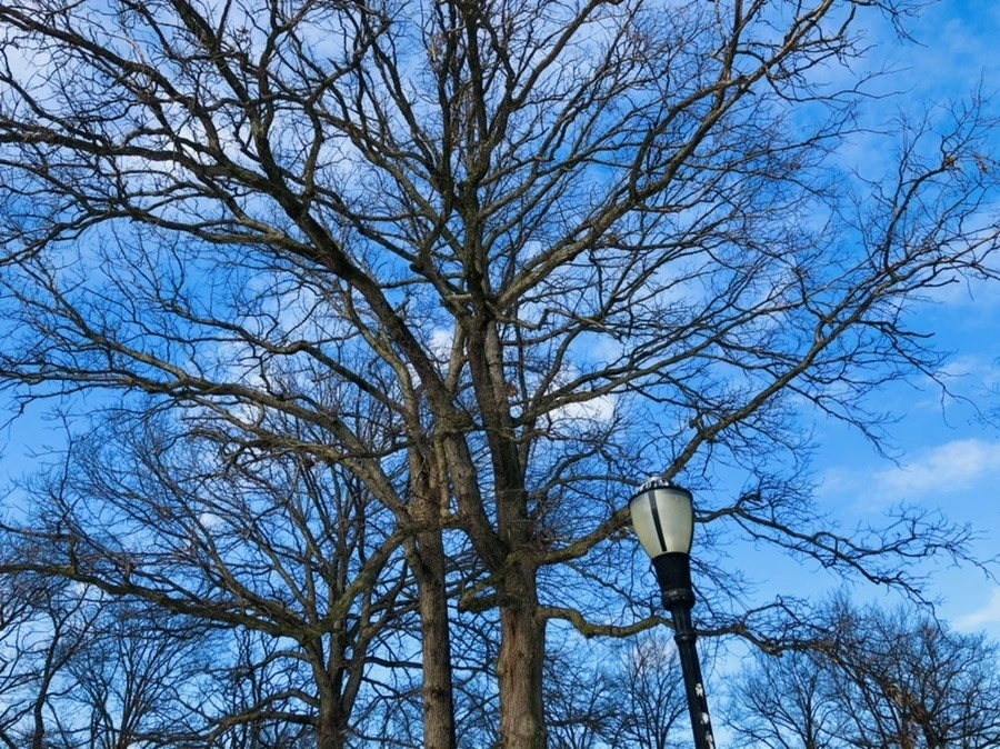 bGv4om2fA4Bu6VzBq2LUgGLsZxI