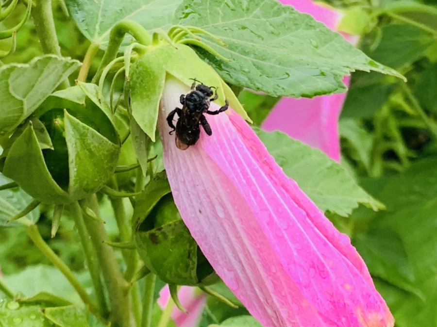 IMG_0780.jpg?type=w966