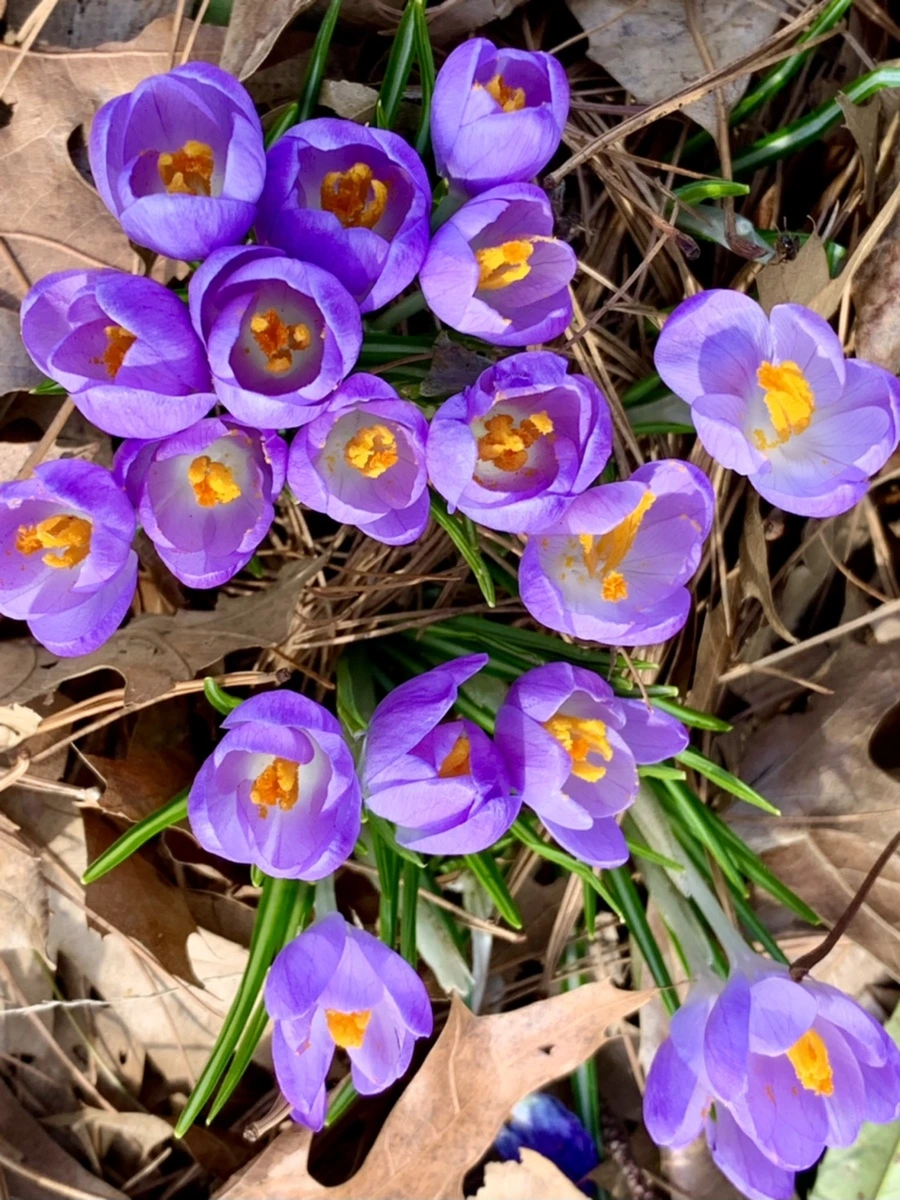 IMG_0119.jpg?type=w966