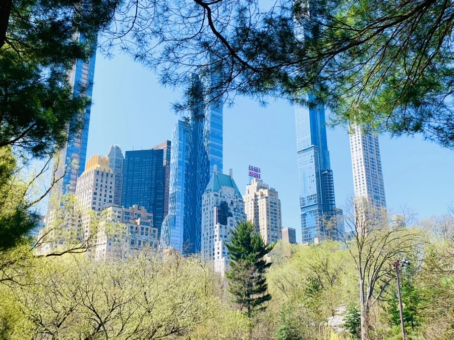 IMG_8887.jpg?type=w966