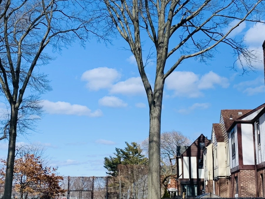 IMG_7457.jpg?type=w966