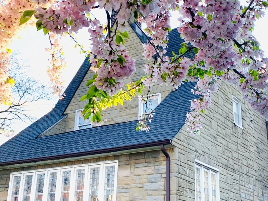 IMG_2454.jpg?type=w966