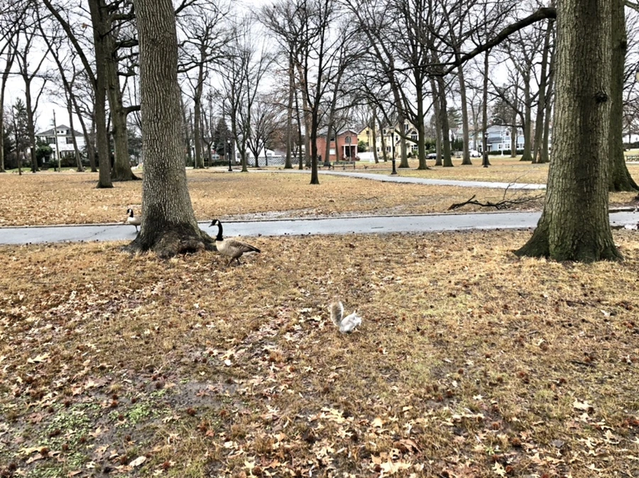 IMG_9514.jpg?type=w966