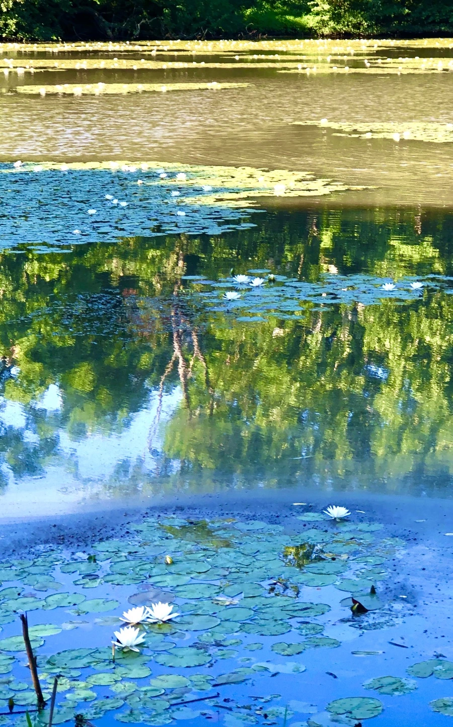 IMG_2281.jpg?type=w966