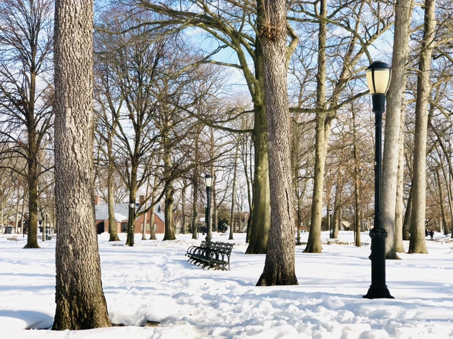 IMG_0123.jpg?type=w966