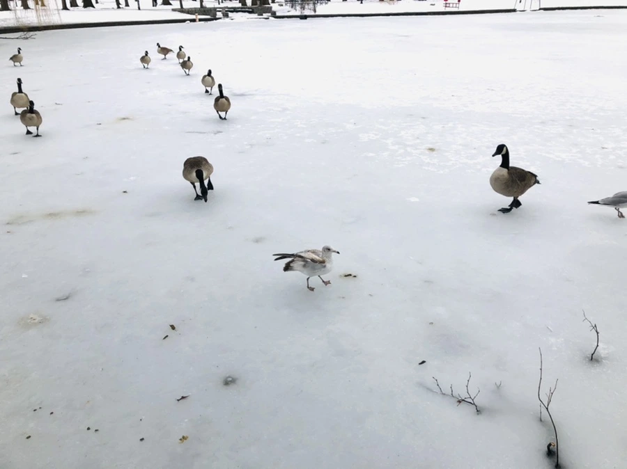 IMG_4324.jpg?type=w966