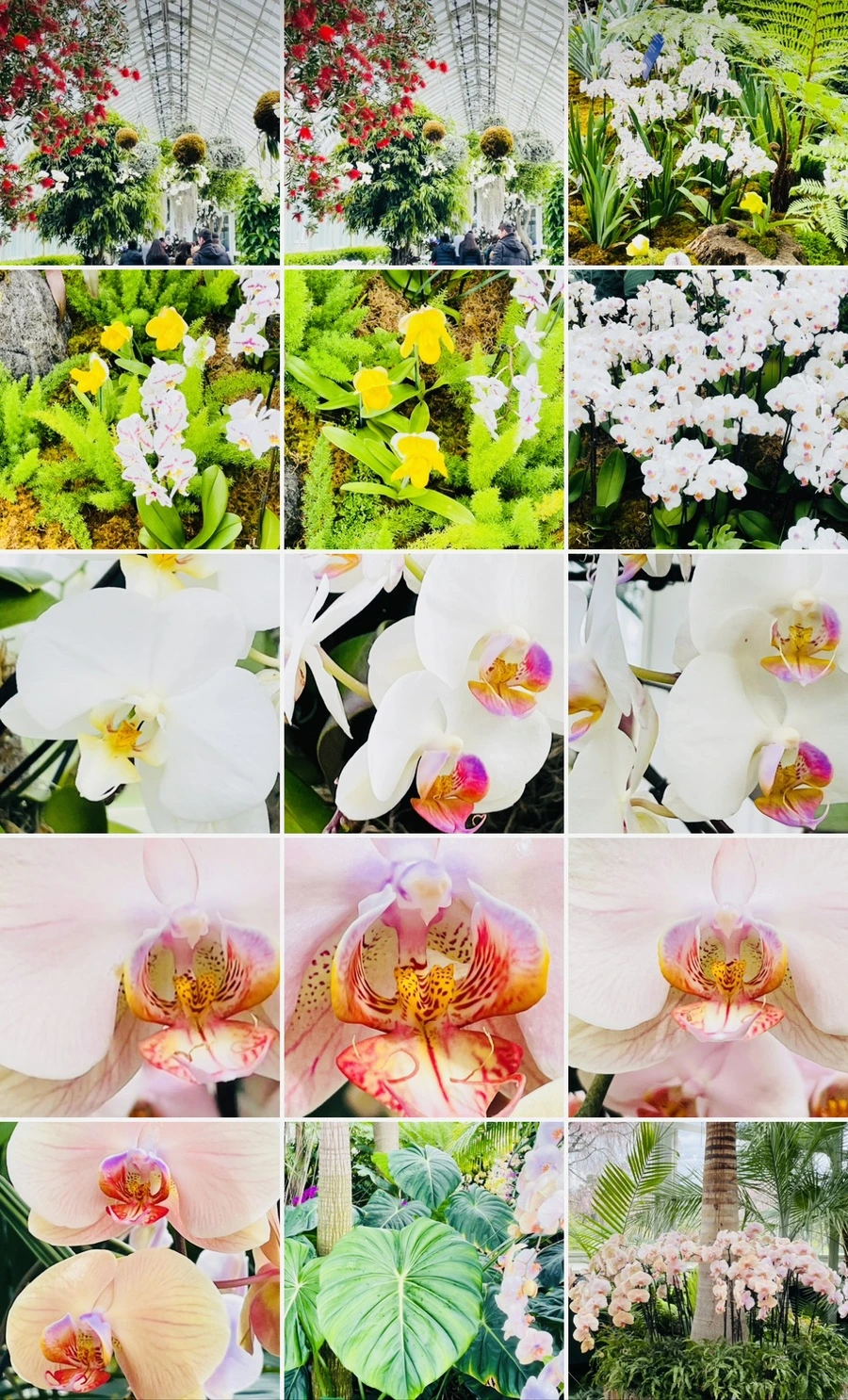 IMG_1432.jpg?type=w966