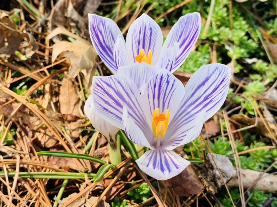 IMG_4377.jpg?type=w966