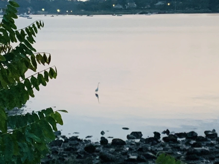 IMG_9535.jpg?type=w966