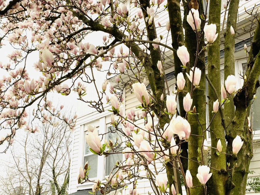 IMG_0753.jpg?type=w966