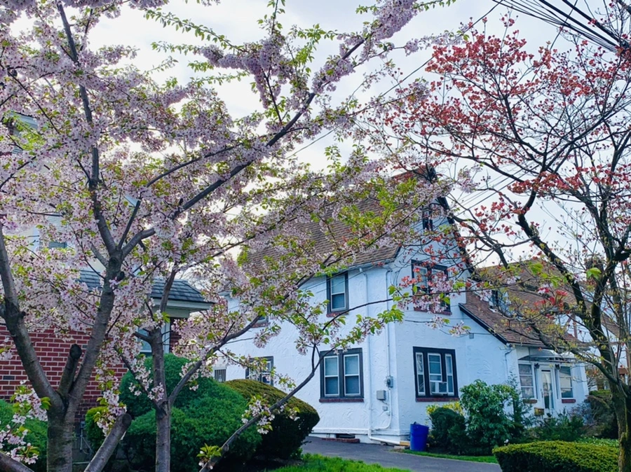 IMG_2795.jpg?type=w966