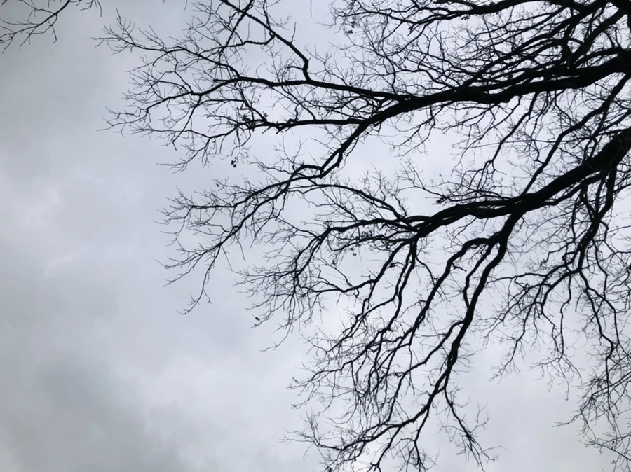 IMG_3452.jpg?type=w966