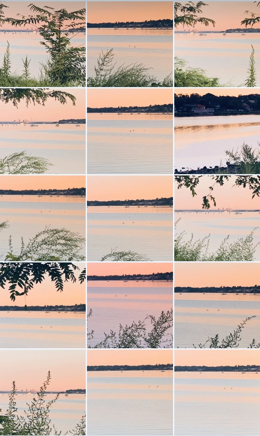 IMG_7557.jpg?type=w966