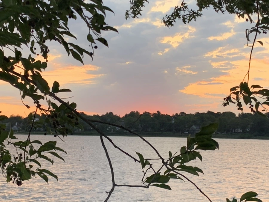 IMG_1662.jpg?type=w966