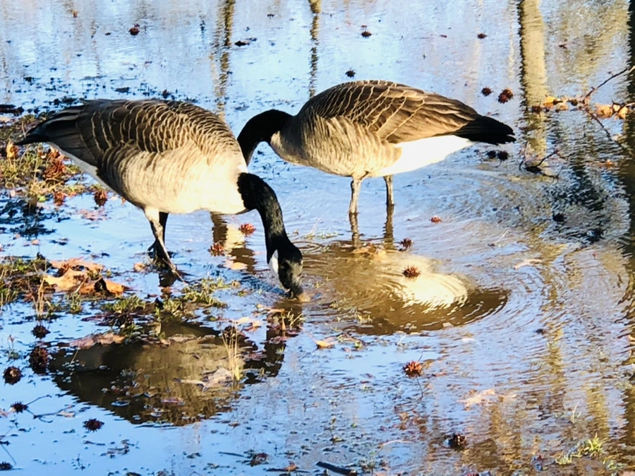 IMG_9287.jpg?type=w966