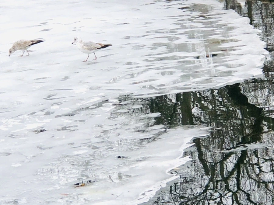 AmH0REb7d-bbIfc6BDDBcidi6hg