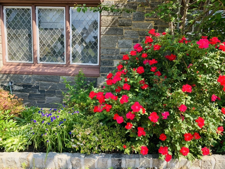 IMG_4705.jpg?type=w966