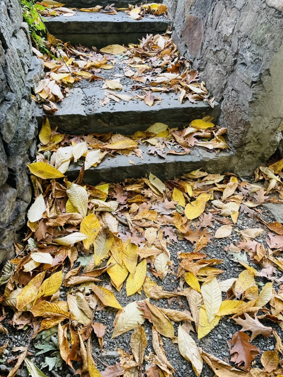 IMG_2433.jpg?type=w966