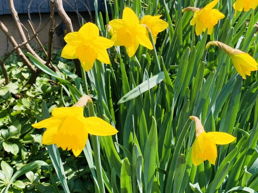 IMG_4328.jpg?type=w966