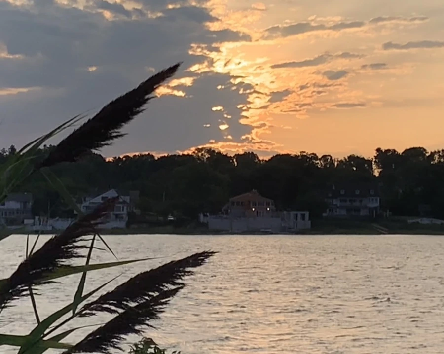 IMG_1765.jpg?type=w966