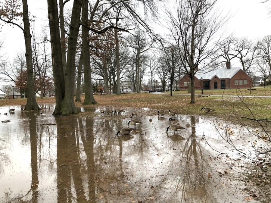 IMG_9509.jpg?type=w966