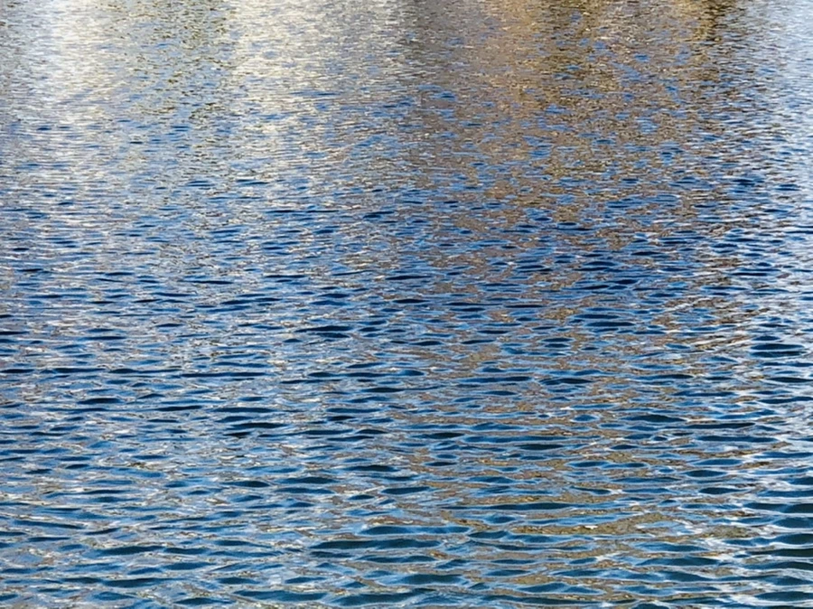 IMG_4059.jpg?type=w966