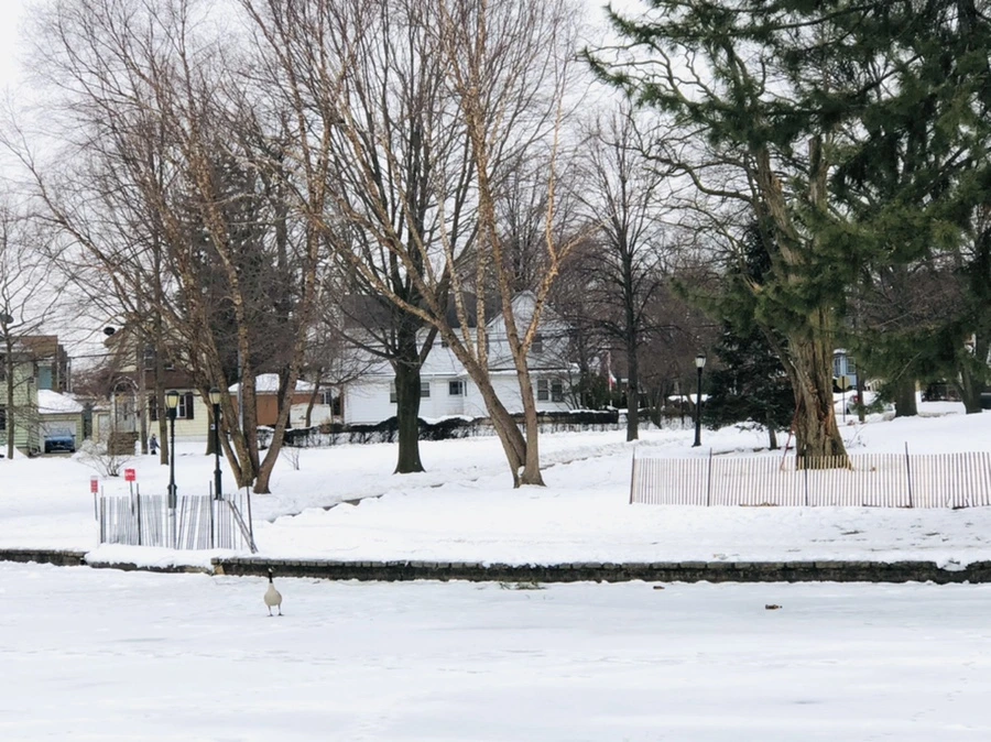 IMG_2736.jpg?type=w966