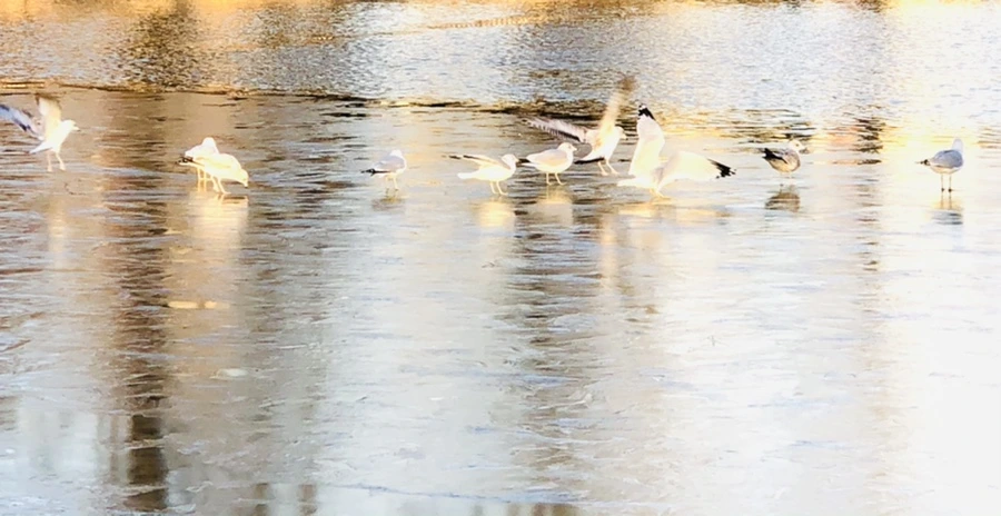 IMG_0858.jpg?type=w966