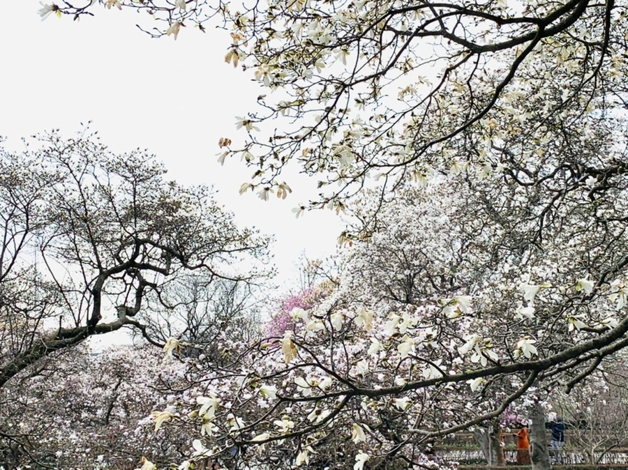 IMG_7143.jpg?type=w966