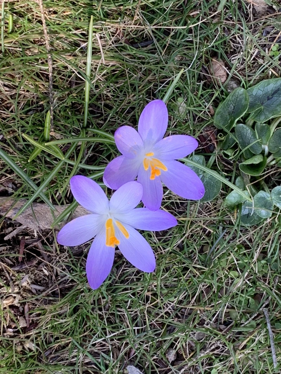 IMG_9203.jpg?type=w966