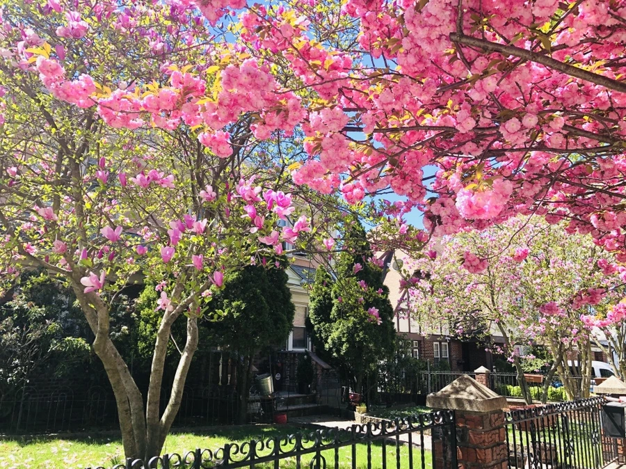 IMG_3518.jpg?type=w966