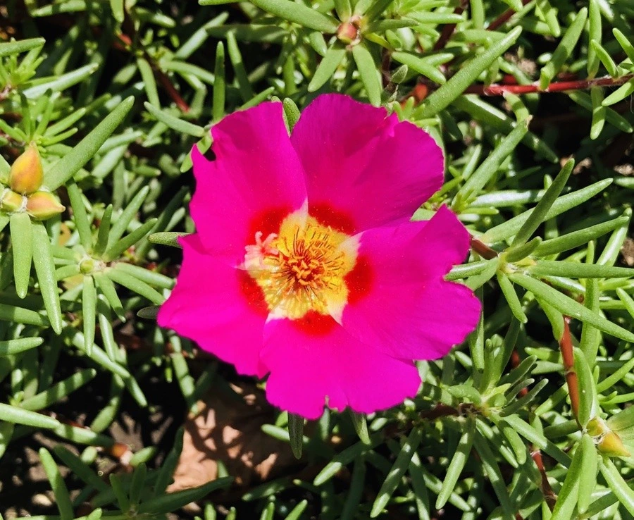 2YNslwfaqRTR5Wssbaxrt_4EdJU