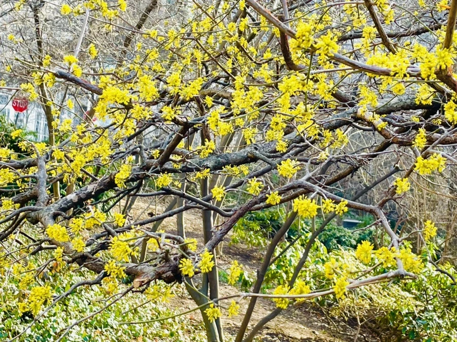 IMG_5396.jpg?type=w966