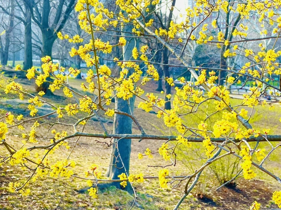 IMG_5931.jpg?type=w966