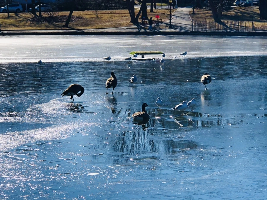 IMG_7931.jpg?type=w966