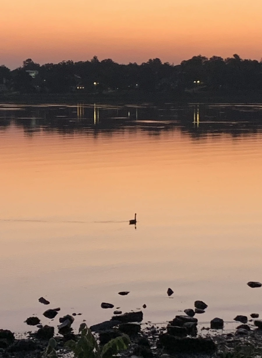 IMG_4320.jpg?type=w966